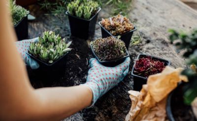 Animations et sensibilisation à l'environnement